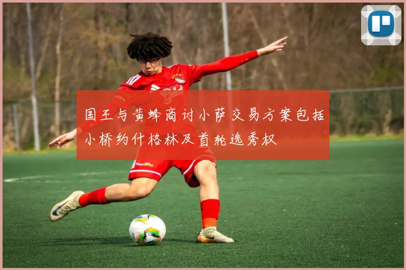 国王与黄蜂商讨小萨交易方案包括小桥约什格林及首轮选秀权